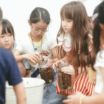 DSC01708 (1)