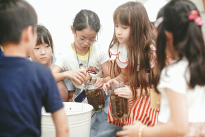 DSC01708 (1)